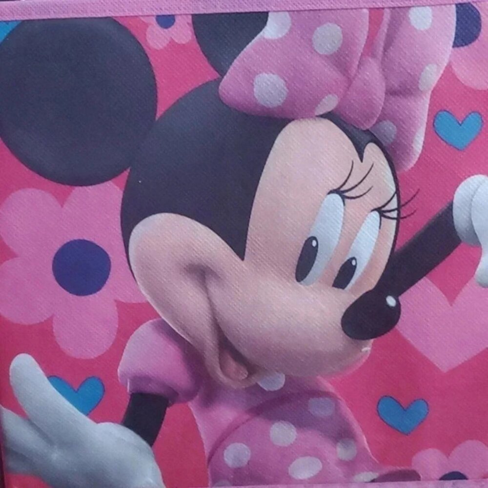 COPY  Minnie mouse storage cubes
